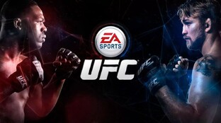 UFC  +  БОКС на ПК 