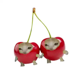 100 лучших фильмов XXI века по версии TNYT