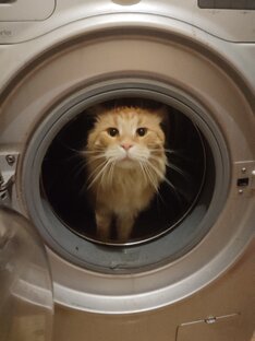 НОВЫЕ!!! ИДЕИ ДЛЯ ВСЕХ!