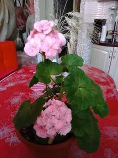 Едим с удовольствием.