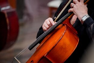 "Семейная филармония". Культурное объединение и театр классической музыки. 