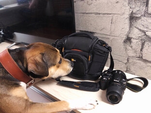 Мои фотографии на Nikon D3100
