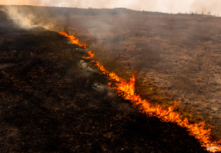 Прифронтовой дауншифтинг.