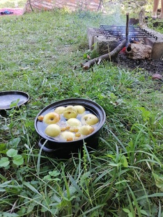 Компот т из горных яблок 