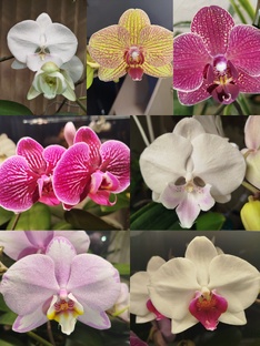 День за днем