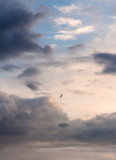 Дух странствий 