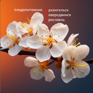 Садоводство