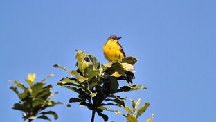 Мои наблюдения в СПб, ЛО и Карелии