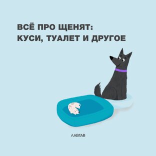 Всё про щенят