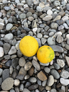 Сочи. Ноябрь 2025