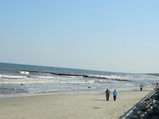 Поиск призвания