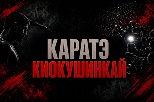 Каратэ киокушинкай