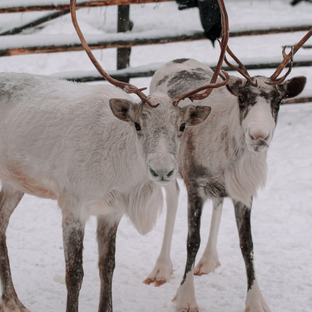 Отдых на природе