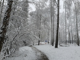 Снежное утро 27 апреля