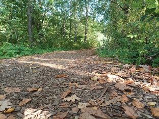 Алкоголизм 