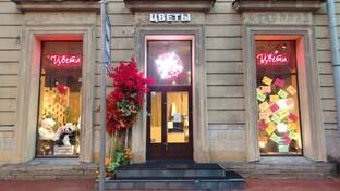 Новый магазин Роза Ветров