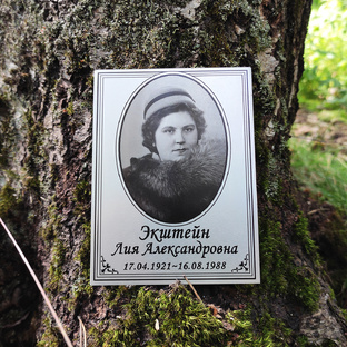 Металлофото