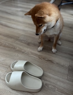 Будни с Луной