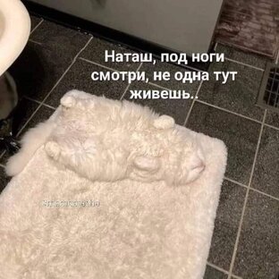 Юмор из интернета