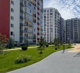 ЖК Фрукты Сочи (Сириус)