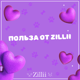 Польза от ZILLII