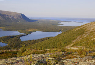 Северное сияние, Териберка, водопады, Альпийский ботанический сад., озера.