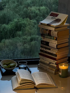 Краткий сюжет книги