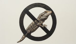 Законодательство 