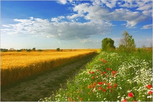 музыка 19