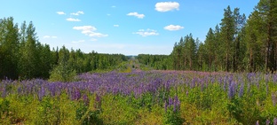 Молодёжная повесть. Хронометраж.