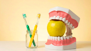 Уход и профилактика 