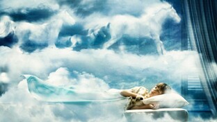 Сон и сновидения