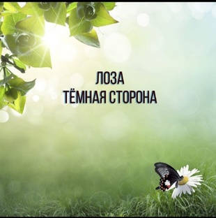 Лоза.Темная Сторона.