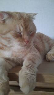 плейлист Сэм