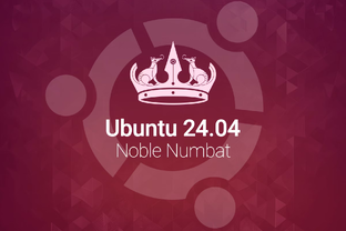 Linux (Ubuntu 24.04)