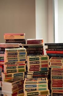 литературные факты 