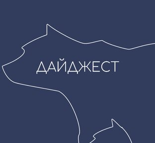 Дайджесты.