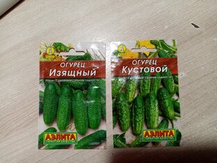 Видео за 2024г👍💖🌞