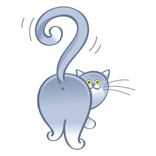 😻 Замурчательный вопрос -1