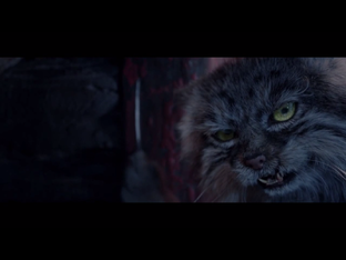 Наш Миллиард!