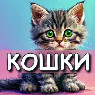 Кошачьи истории