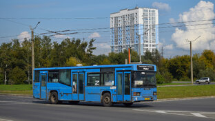 Автобусы