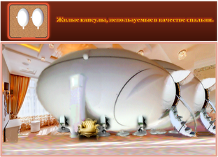 Капсульное общество