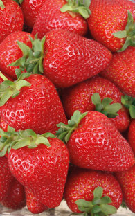 Клубника (земляника садовая)