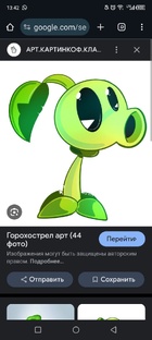  Шорты Дзен