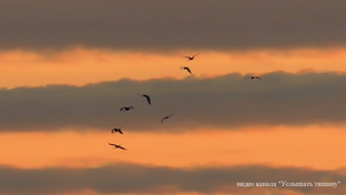 Любимые песни