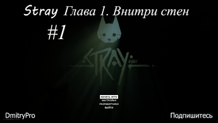 Stray