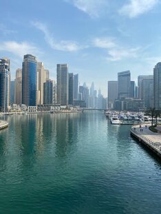 ОАЭ. Курорты, отели, экскурсии, интересные места.