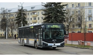 Автобусы
