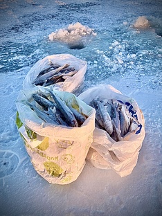 Зимняя рыбалка